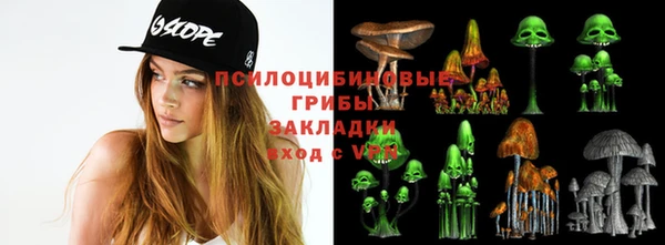 крисы Армянск