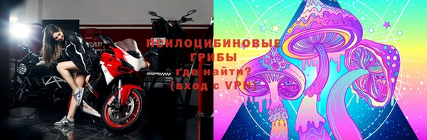крисы Армянск