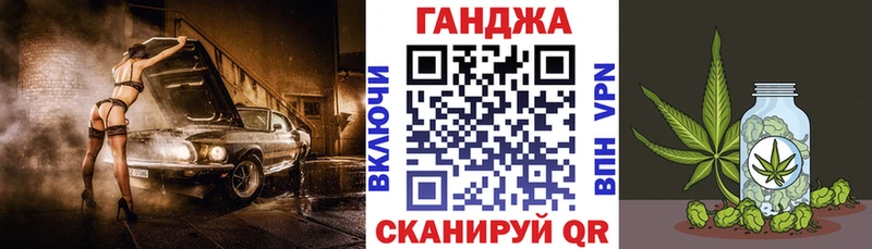 Конопля сатива Голицыно